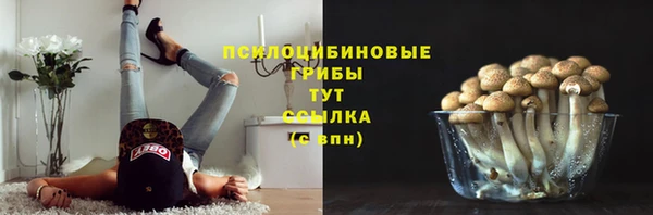 соль ск Новокубанск
