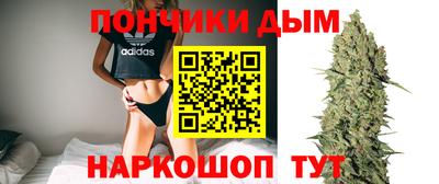 сатива Малгобек