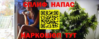 сатива Малгобек