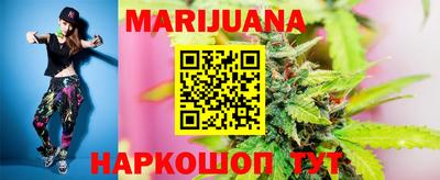 сатива Малгобек