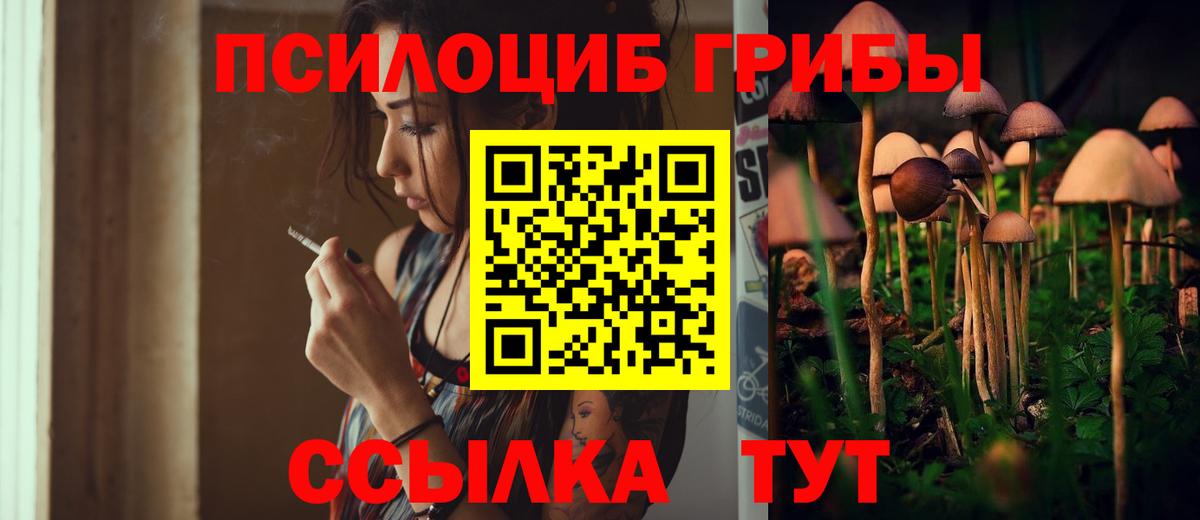 Псилоцибиновые грибы Psilocybine cubensis  Вход с VPN  Дивногорск 